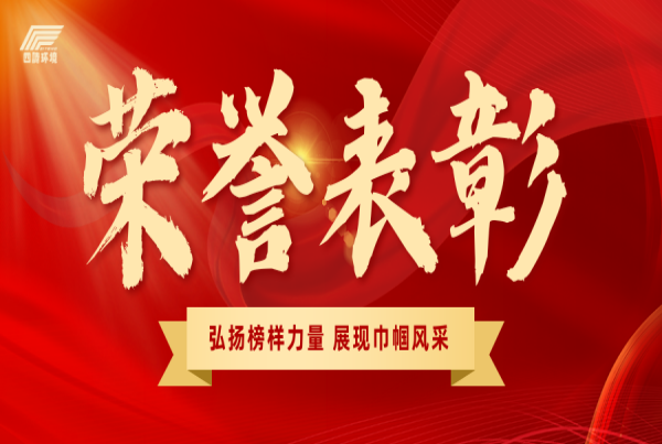 188金宝搏·(中国)官方网站公司张凤丽荣获“西安市雁塔区三八红旗手”荣誉称号